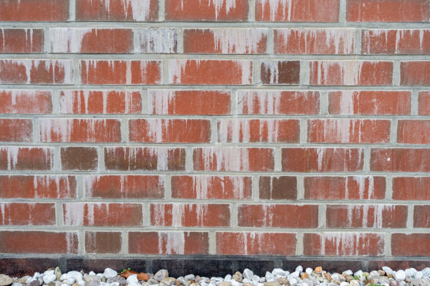 Trusted Water Damage Cleanup Services in Altamonte Springs, FL