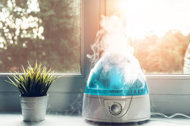 Druvox Humidifier & HVAC