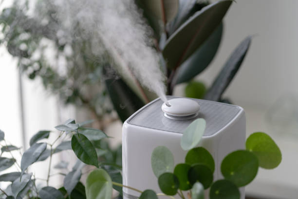 Trusted HVAC and Indoor Air Quality Specialists in Kane County, IL