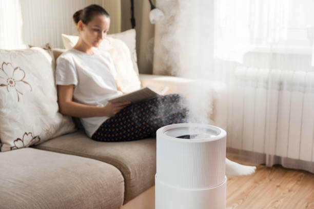 Top Whole-Home Humidity Control Solutions in Douglas County, IL