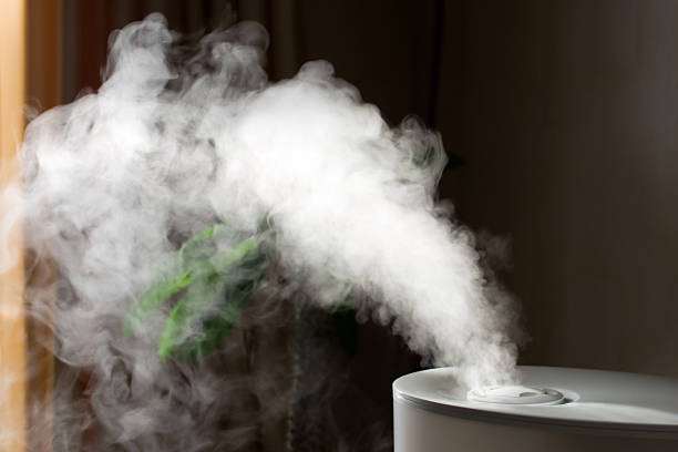 Best Whole-Home Humidity Control Specialists in Naperville, IL