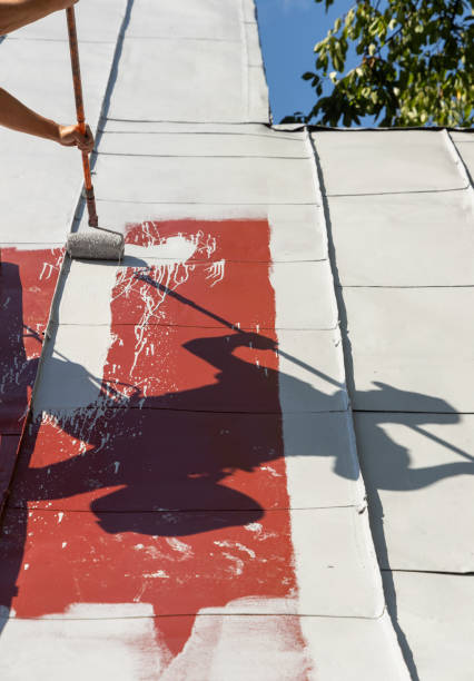 Paintova Roof Painting
