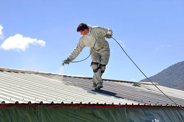Professional Roof Painting Company in Bridge City, LA
