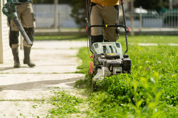 Best Professional Mowing Services in Ashe County, NC