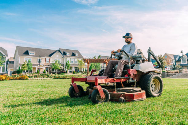 Trusted Professional Mowing Services in Sunset Beach, NC