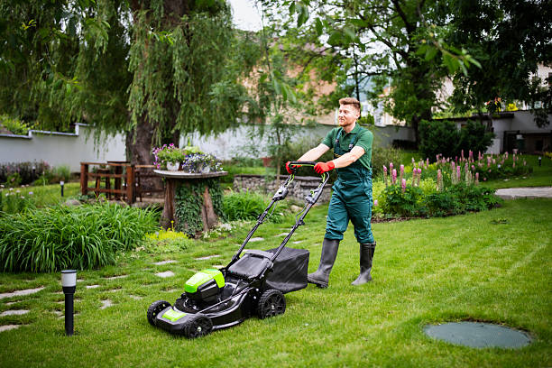 Top Residential Lawn Cutting Providers in Gibsonville, NC