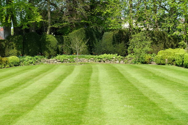 Trusted Lawn Mowing Services in Red Oak, NC