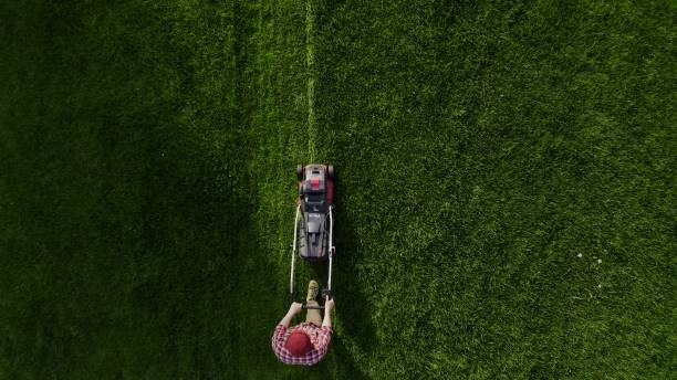 Top Lawn Mowing Specialists in Marshall, NC
