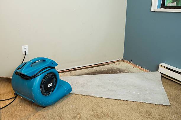 Trusted Water Damage Restoration Solutions in Jefferson Davis Parish, LA