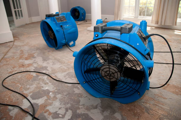 Top Water Damage Response Specialists in Sterlington, LA