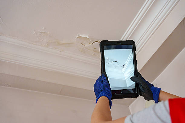 Leading Flood Damage Cleanup Experts in Wimberley, TX