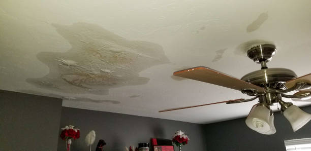 Best Water Damage Restoration Solutions in Dripping Springs, TX