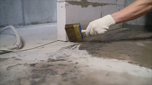 Trusted Basement Waterproofing Solutions in Breinigsville, PA