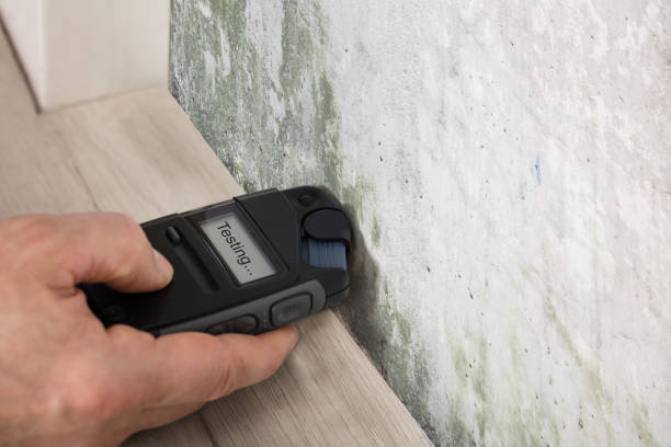 Sporecheck Mold Inspection