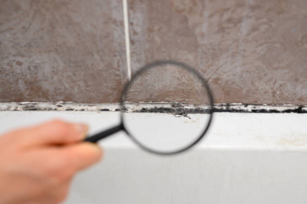 Independent Mold Inspection Professionals in Thibodaux, LA