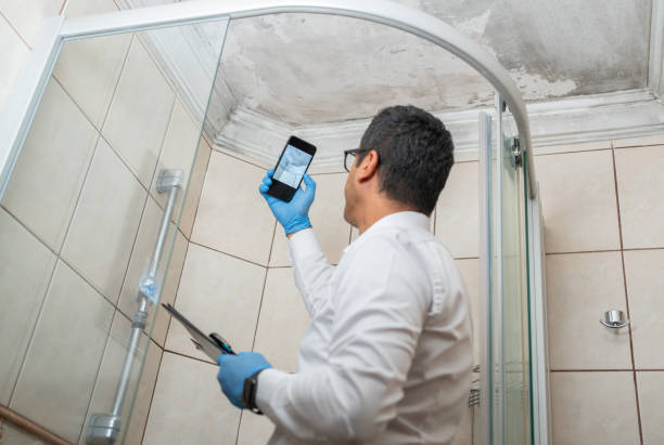 Leading Mold Remediation Specialists in Merrick, NY Florida