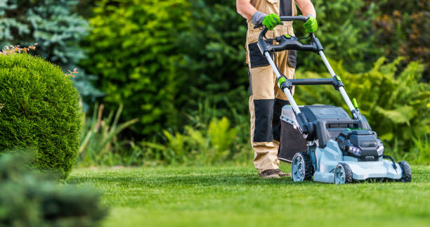 Reliable Lawn Care and Landscaping Providers in Chesterfield Court House, VA