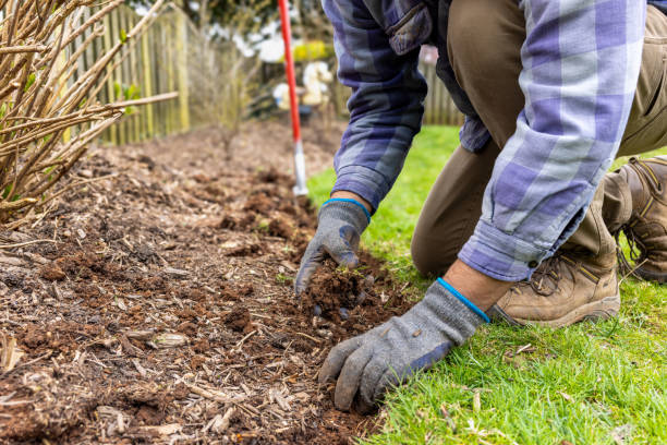 Top Residential Landscape Maintenance Professionals in Chincoteague, VA