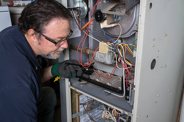 Trusted Pest Control Experts in Cheyenne, WY for Homes and Businesses