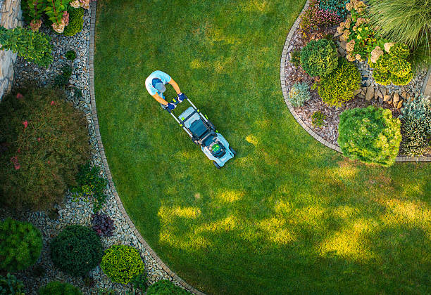 Top Residential Lawn Care Services in Estill Springs, TN