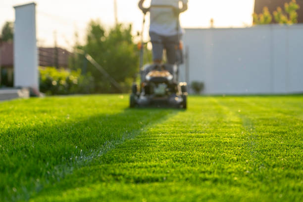 Leading Residential Lawn Care Programs in Walnut Hill, TN