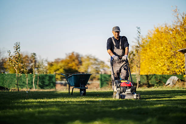 Top Residential Lawn Care Services in Crossville, TN