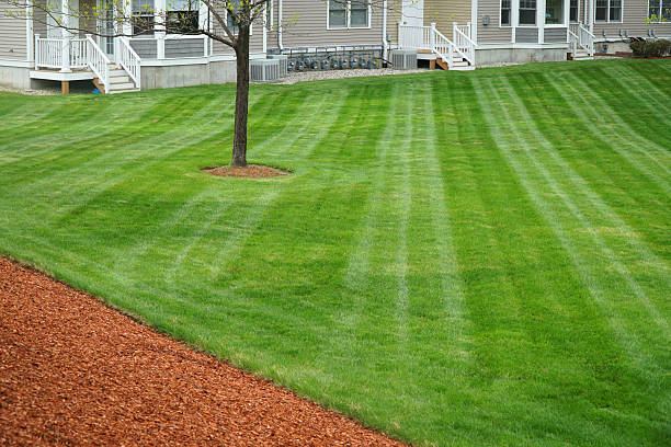 Leading Residential Lawn Care Programs in Bledsoe County, TN