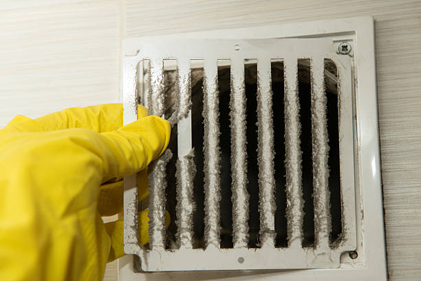 Trusted Air Duct Cleaning Experts in Webster County, GA