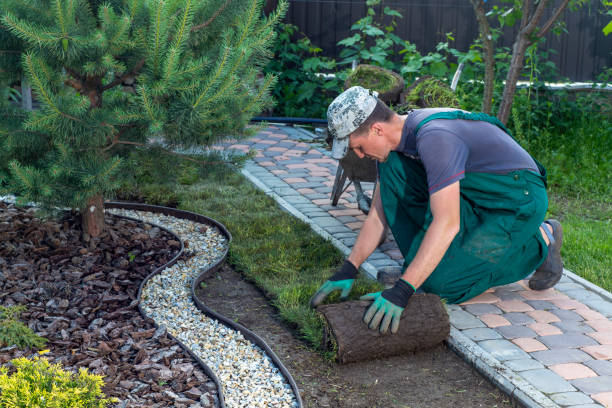 Expert Landscape Design and Maintenance Services in Gold Hill, OR
