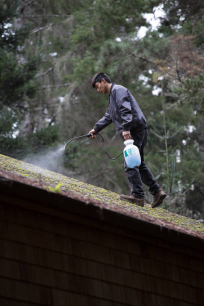 Expert Roof Moss Treatment Services in Oakridge, OR