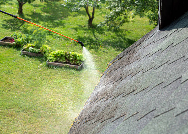 Norken Roofing