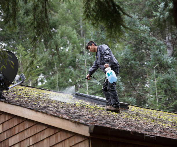 Top-Rated Roofing Experts in Yoncalla, OR Oklahoma