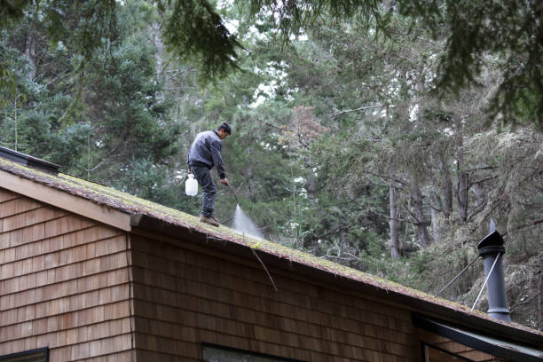 Reliable Roofing Specialists in Torrington, WY