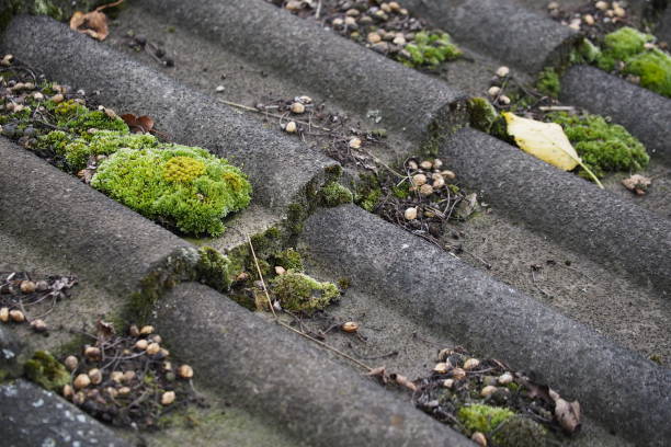 Top-Rated Roofing Experts in Lakeside, CA
