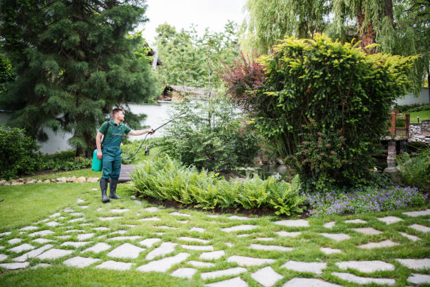 Top Pest Control Experts in Phoenix Lake, CA