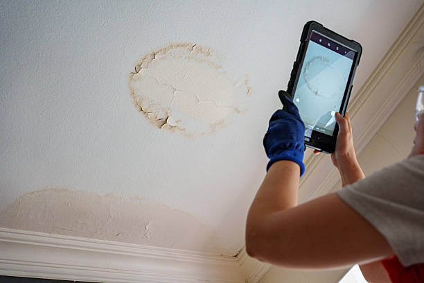 Trusted Roofing Contractors for Brisbane, CA Homeowners and Businesses