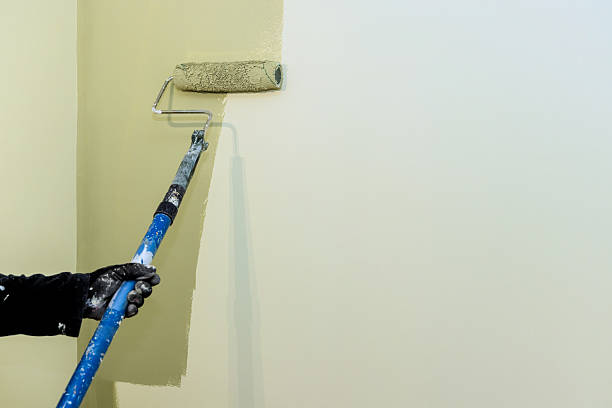 Trusted House Painting Contractors in Bracey, VA