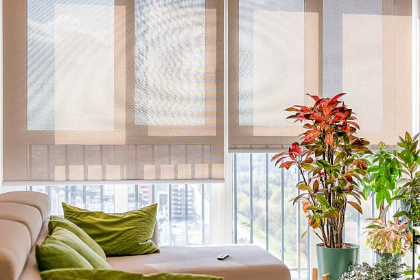 Expert Window Solar Shade Specialists in Chama, NM