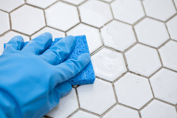 Klenvara Grout Cleaning