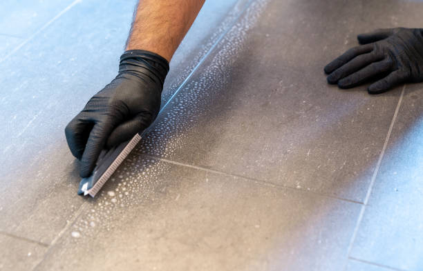 Expert Grout Services in Peach Springs, AZ