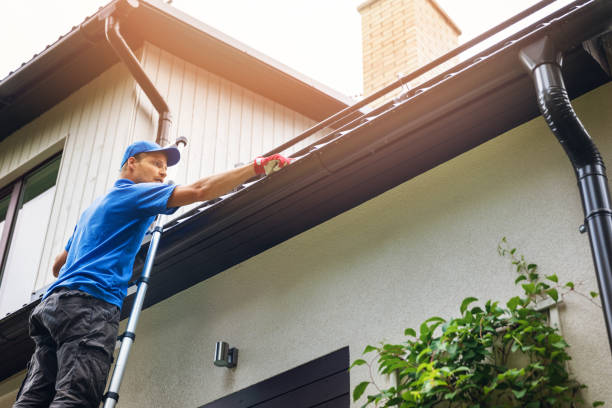 Fluvex Gutter Cleaning