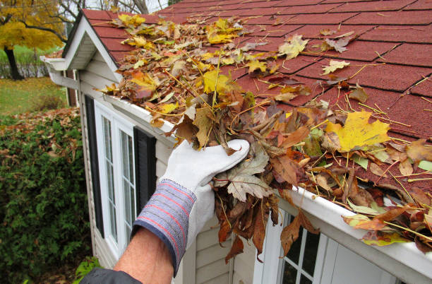 Professional Gutter Maintenance in Cornelius, OR