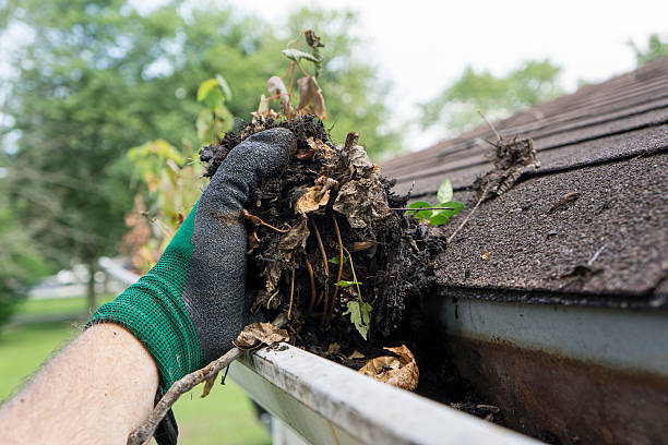 Professional Gutter Maintenance in Clackamas County, OR