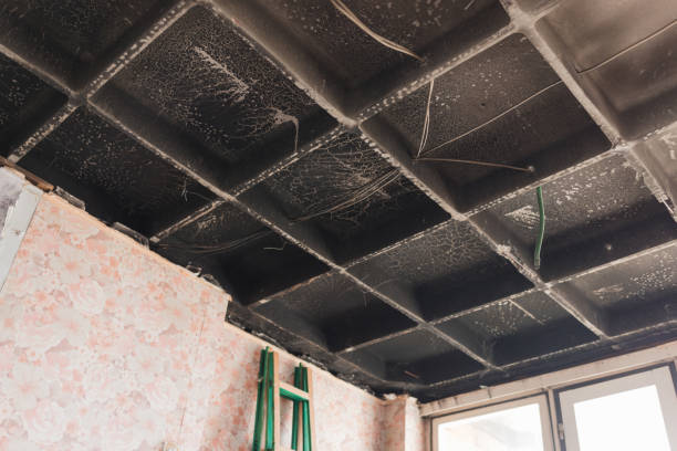 Certified Fire Damage Restoration Services in New Milford, NJ Ohio