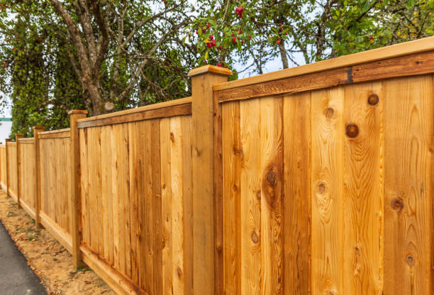 Expert Fence Services in Surprise, AZ