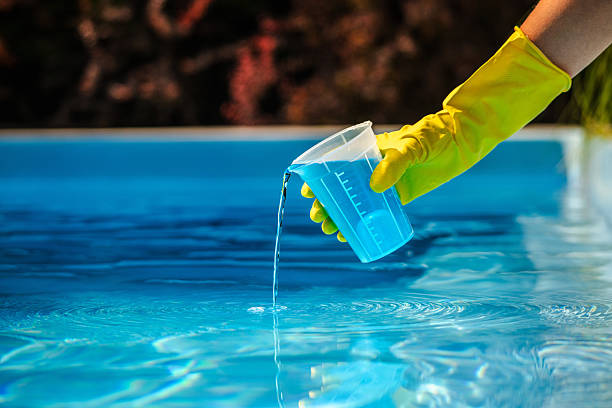 Trusted Pool Maintenance Services in Tangelo Park, FL