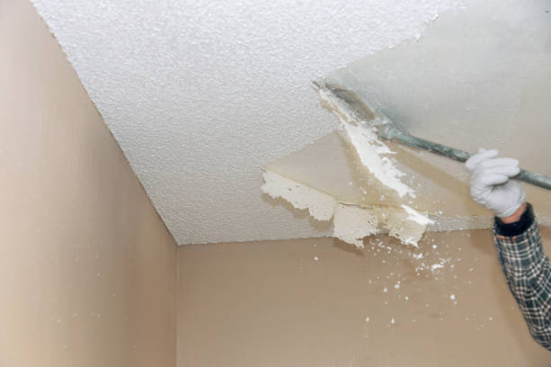 Ceilanova Popcorn Ceiling Removal