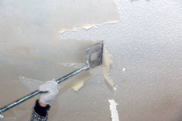 Professional Popcorn Ceiling Removal Company in Dayton, TN