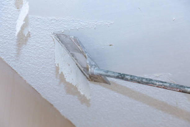 Trusted Popcorn Ceiling Removal Specialists in Hickory Withe, TN