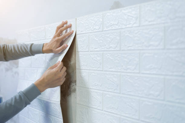 Best Wallpaper Hanging Services in Massapequa, NY